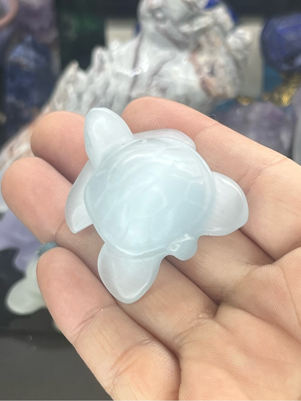 Cat eye Turtle Carving
